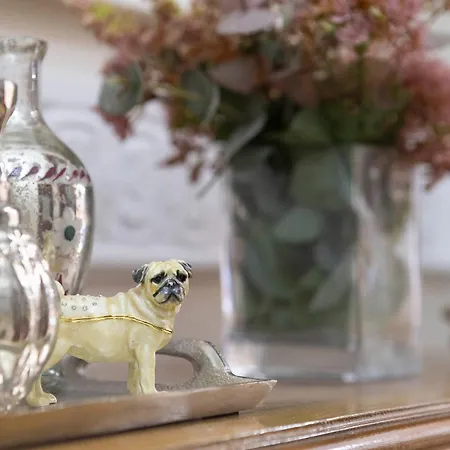 아파트 Gatto Perso Luxury *