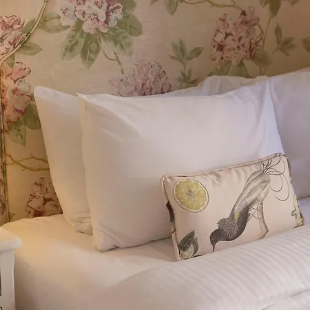Gatto Perso Luxury 아파트 *