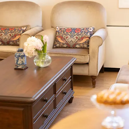 Gatto Perso Luxury 아파트 *