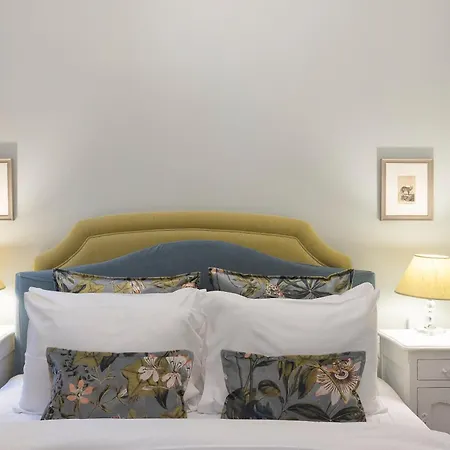 아파트 Gatto Perso Luxury *